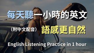 保母級聽力訓練｜快速學會日常英文句子｜輕鬆提升英語水平｜從零開始聽懂英文｜零基礎快速進步｜English Listening（附中文解說）