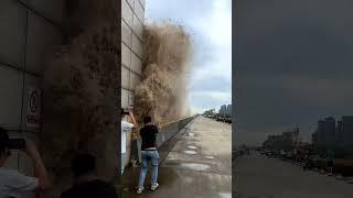 一年只一次！錢塘潮真的太猛了！#紀錄片 #人文 #地理 #短片