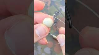 One of The BEST Carp Rigs For Spring ️ Single Hookbait Pop-Up Fishing… #carpfishing #fishing