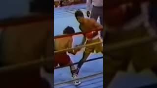 Hector Macho Camacho Knockout Boxing Legend