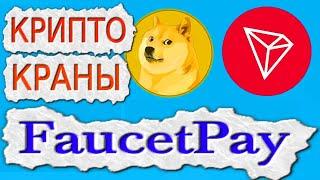 Крипто краны 2023 doge & trx платят моментально Free faucet заработок криптовалюты на Faucetpay