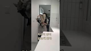 아직도 향 보고 유연제 고르세요? 진짜 안전한 건 따로 있습니다