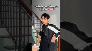 Cats is like our owner