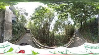 Shiu-ying Hu Herbarium 360 video@CUHK campus - United College