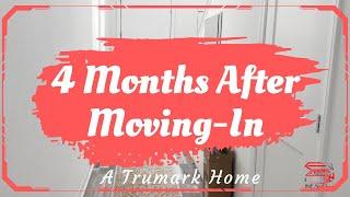 4 Months Update After Moving In Our New House