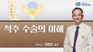 척추 수술의 이해 | 서울성모병원 김영훈 교수