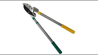 Heavy Duty Ratchet Telescopic Anvil Lopper | Cuts upto 1.7 inch thick