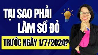 Tại sao phải làm sổ đỏ trước ngày 01/07/2024.| Đoàn Dung