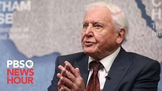 WATCH: Sir David Attenborough gives statement at COP26 climate summit in Glasgow