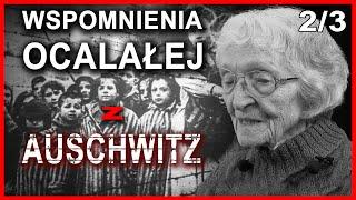 Wstrząsające fakty z życia w Auschwitz-Birkenau. Najlepsza lekcja historii! 2/3