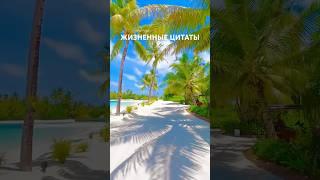 Жизненные цитаты#жизнь#цитаты #рекомендации#мышление #саморазвитие#мудрыеслова#мотивация#вдохновение