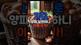 박나래가 시킨대로 양파 보관하니 이럴 수가! #건강 #이슈 #음식 #건강한중년 #지식#꿀팁 #지식