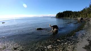 China Beach Camping