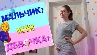 Мальчик или девочка? Кто в животике?