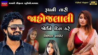 Vishal Hapor-રુપ ની જાહોજલાલી-Jahojalali-New Gujarati Trending Song 2024-Non Stop Live Garba Program