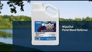 Airmax® WipeOut™ PondWeed Defense® – All-Season Pond Weed Control