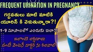 Frequent Urination During Pregnancy |Mom Geetha's Tips