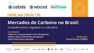 Mercados de carbono no Brasil: conexões entre regulado e voluntário