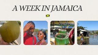 A Week In Jamaica | Ultimate Dining Nightclub | Alligator pond | Day In My Life️ ￼