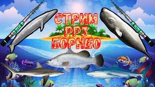 Стрим Русская Рыбалка 3. Акулы и Киты в турнирах. #рр3 #русскаярыбалка4