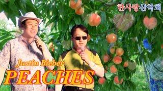 Alpine club seniors sings 'Justin Bieber - Peaches'