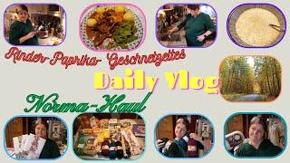 Daily Vlog / Kleiner Norma-Haul / Rinder-Paprika-Geschnetzeltes / Haushalt zwieschendurch/Mamaalltag