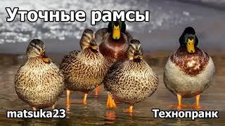 УТОЧНЫЕ РАМСЫ | Технопранк от Matsuka23