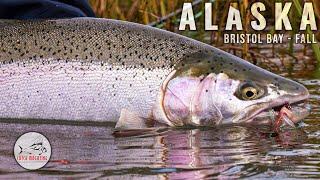 Fall in Alaska: Trout Spey Fly Fishing on Bristol Bay's Kvichak River by Todd Moen