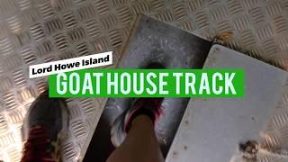 Hiking Goat House Track in under 90 mins? LORD HOWE ISLAND walks.