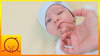 Primitive Technology: Human Baby Biology (Primitive Reflexes)