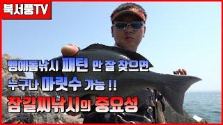 북서풍TV] 패턴만 잘잡으면 누구나 마릿수 벵에돔 낚시/잠길찌낚시 (opaleye fishing sea fishing クロメジナ)