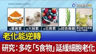 老化能逆轉 研究：多吃「5食物」延緩細胞老化