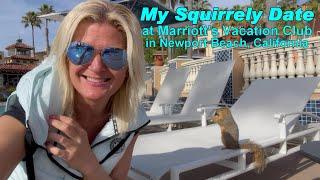 My Squirrely Date at Marriott's Vacation Club, Newport Beach, California