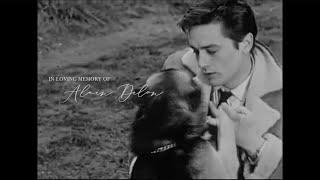 in loving memory of Alain Delon