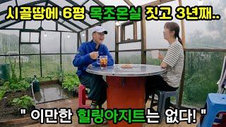 6평 목조온실 힐링아지트 / 장독에 매실청 담기 / 냥빌라 만들기 / 옥수수 추가 심기 / 완두콩 감자전, 꼬들살구이, 강된장 쌈밥