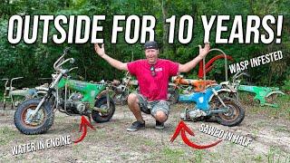 We Bought 6 Abandoned Honda CT70s for $1,000! Will they Run and Ride 100 Miles?