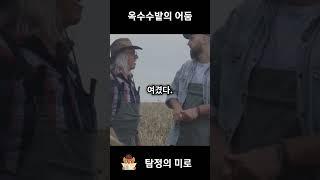 옥수수밭의 어둠 / 공포 / 미스터리 / 범죄 / 사건