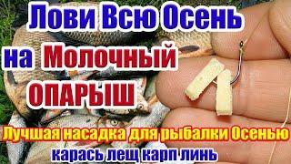 Лови Всю Осень! Супер Рыболовная насадка на Карася Лещ Линь Насадка для карася На что ловить карая