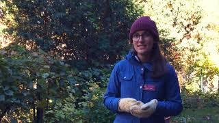 Composting at Home