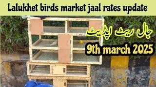 Sunday lalukhet birds market jaal rates update/9th march 2025 update