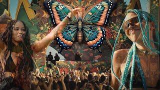 Vegas - Butterfly