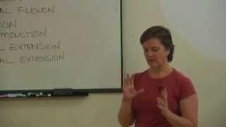 Axial Extension - Amy Matthews [EmbodiedAnatomy.net]