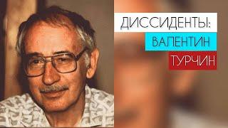 ВАЛЕНТИН ТУРЧИН