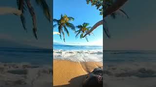 Goa Beach | All India Travel | Travel India Beach | Travel India Hillstation Vlog | Travel Goa Beach