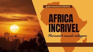 Savana Africana. Você sabia disso?