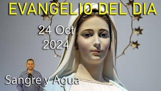 Evangelio Del Dia Hoy - Jueves 24 Octubre 2024- Sangre y Agua