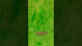 翡翠珠寶 | 翡翠的纤维交织结构 根据翡翠的交织结构，可以与其他相似的玉石区别！ #珠寶 #緬甸翡翠 #翡翠珠寶 #翡翠 #翡翠直播
