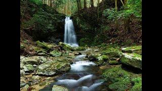 紀の川市・深山渓谷大全集