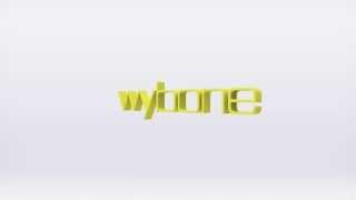 Wybone - 3D Brand Logo Animation - 3d-logo.co.uk