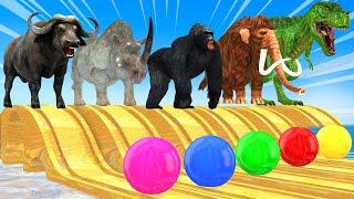 Wild Animals Obstacle Overwater With Mammoth, T-Rex, Gorilla, Tiger, Cow  Total Wipeout Challenge